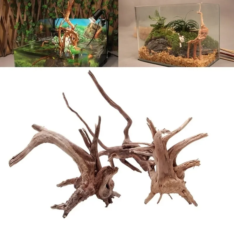 Aquarium Plant Rings - Natural Tree Trunk Driftwood Aquarium Fish