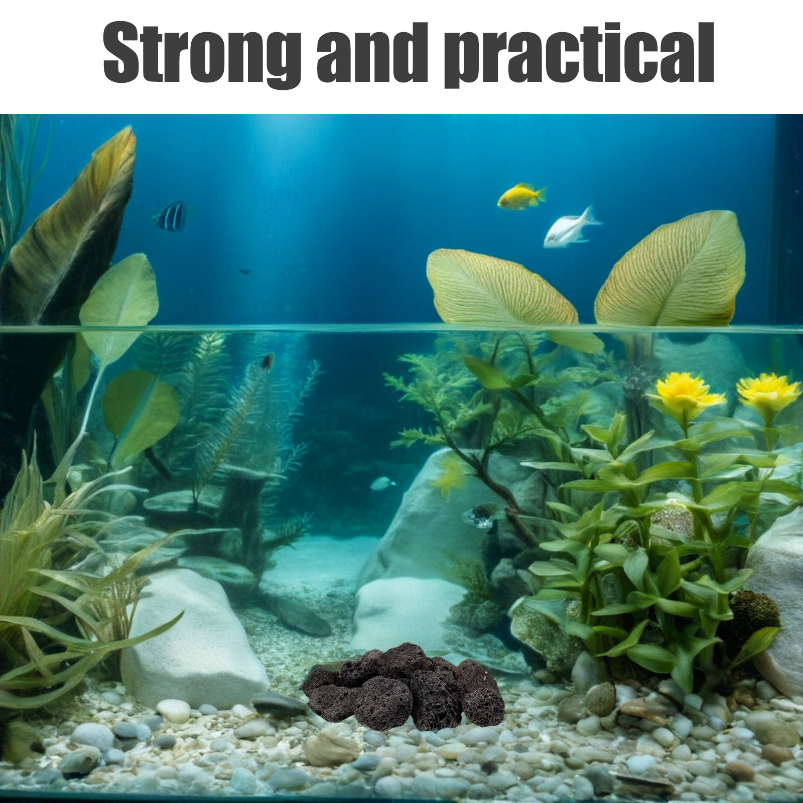 Planted Aquarium With Rocks - 1Pack Volcanic Stone Decoration Rocks for