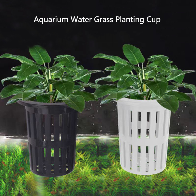 Aquarium Plant Rings - 1/3Pcs Aquarium Plant Basket Wall-Mounted Hydroponic