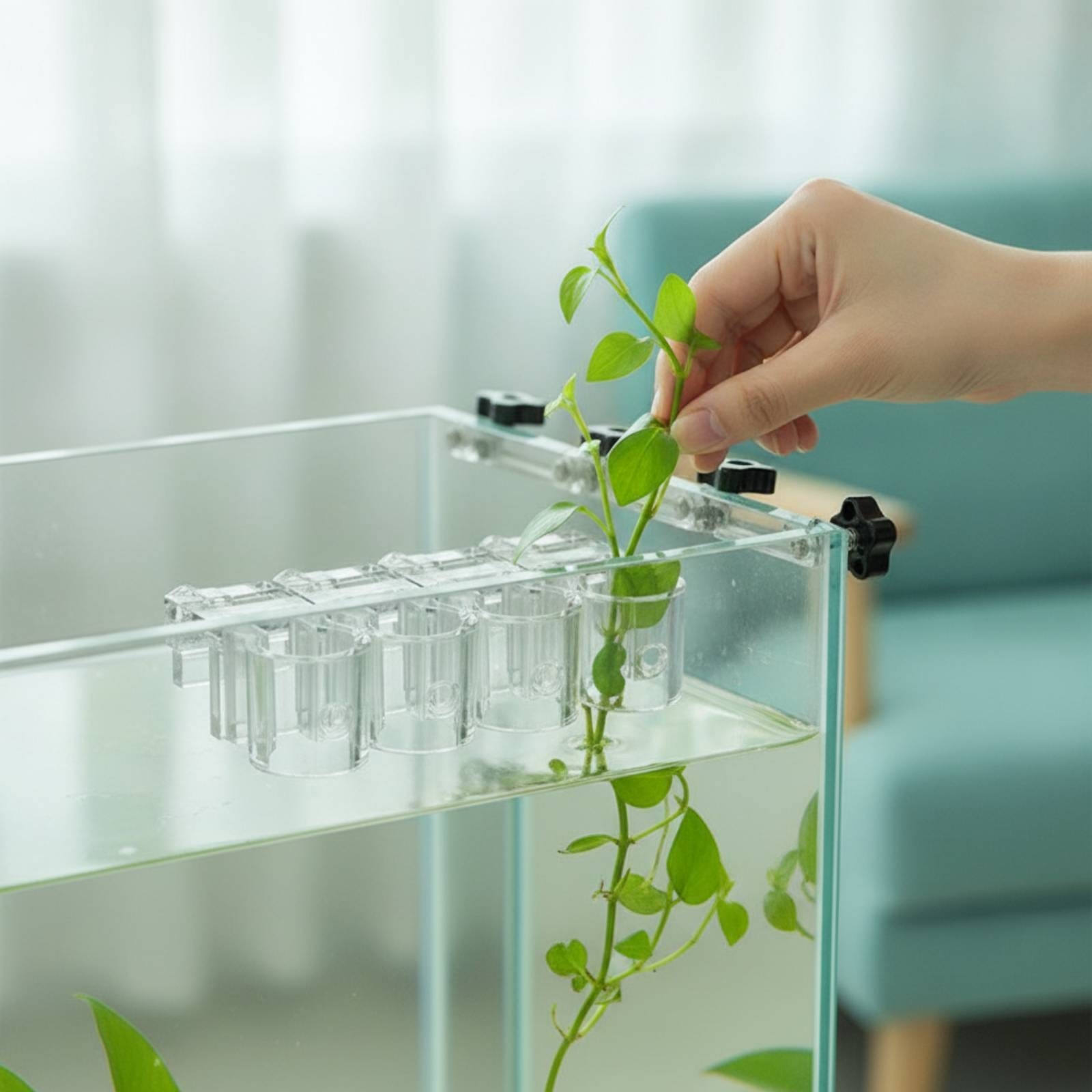 6 Pieces Aquarium Planter Clea - Aquarium Planted Plants ulasan dan harga