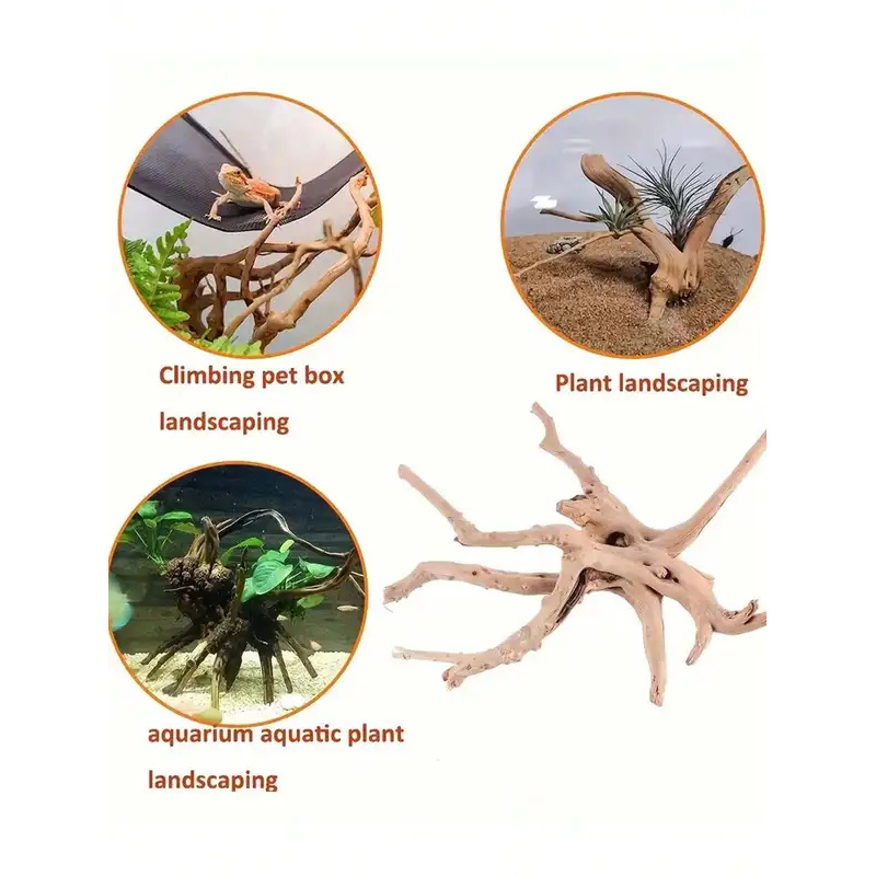 Natural Driftwood for Aquarium - Planted Aquarium Media ulasan dan harga