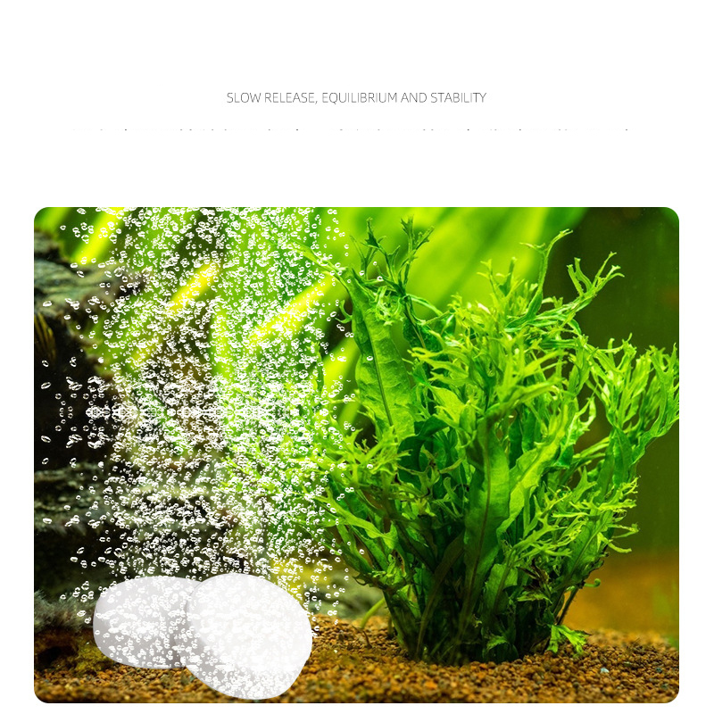 ISTA  Fish Tank Aquarium CO2 T - Planted Aquarium Without Fish ulasan dan harga