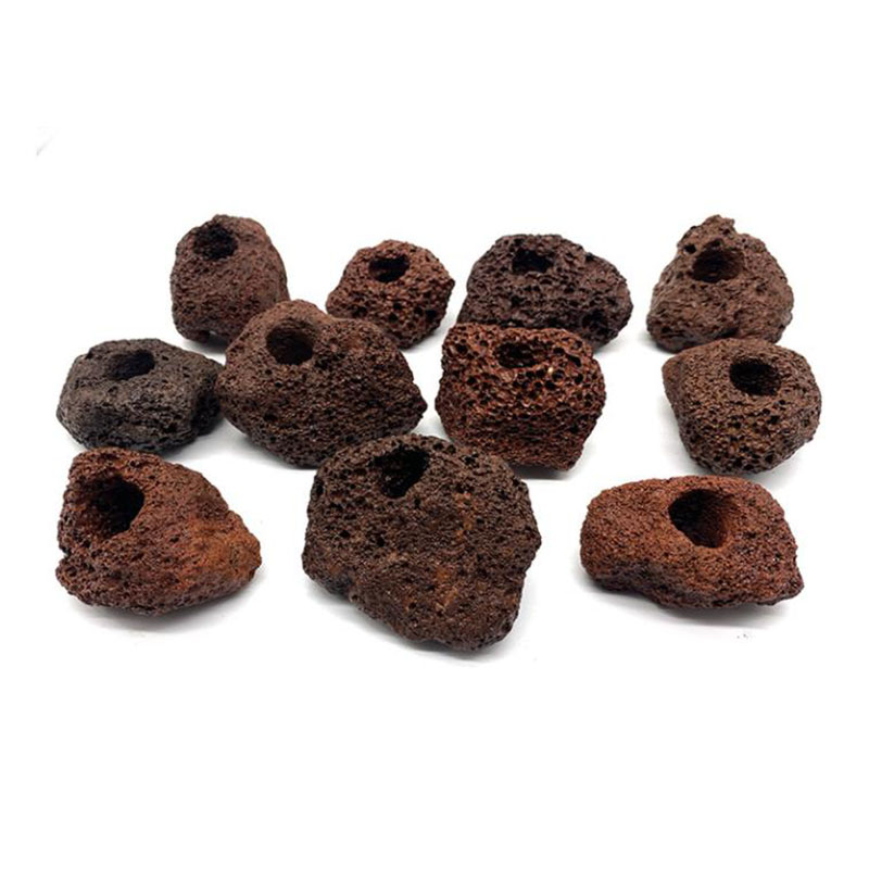 Volcanic Aquarium Decoration F - Aquarium Plant Rings ulasan dan harga
