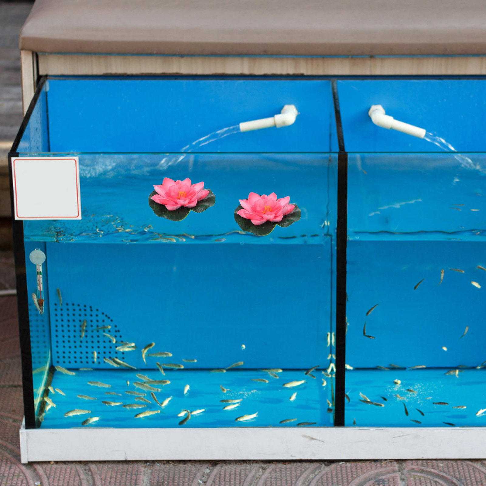12Pcs Artificial Floating Wate - Aquarium Planted Plants ulasan dan harga