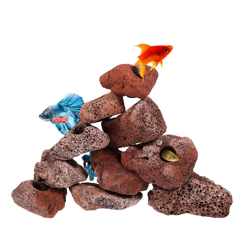 Open Hole Rock Fish Shrimp She - Planted Aquarium With Rocks ulasan dan harga