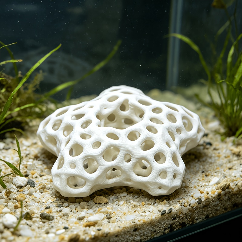 Hollowed-out Five-Pointed Star - Planted Aquarium Without Fish ulasan dan harga