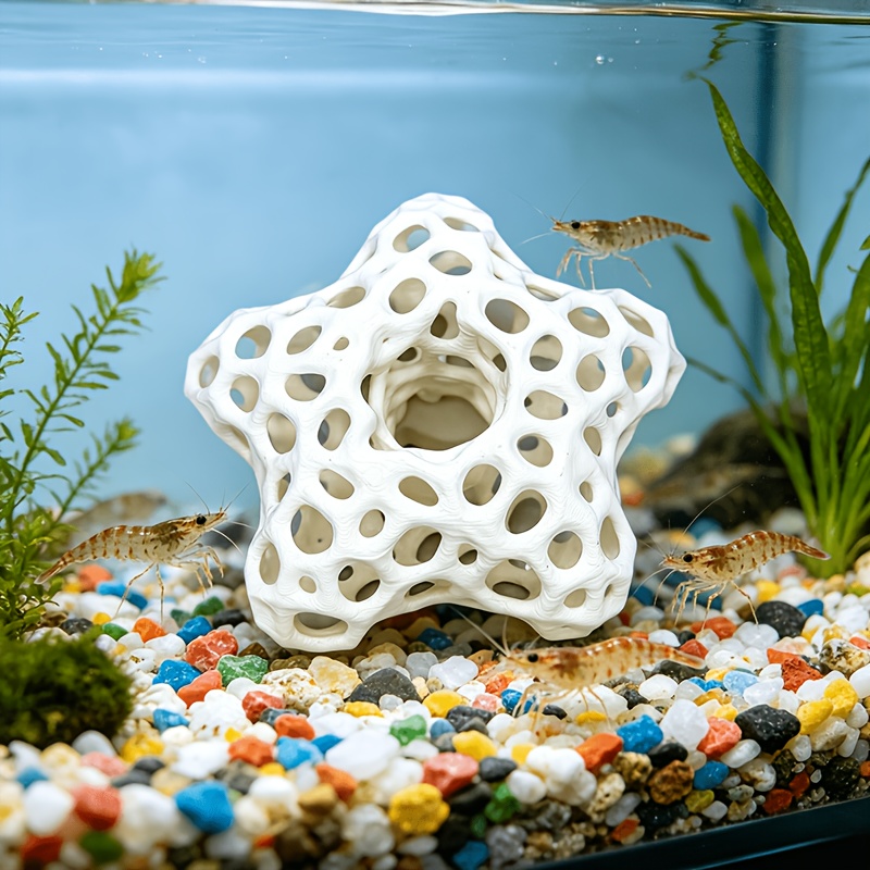 Hollowed-out Five-Pointed Star - Planted Aquarium Without Fish ulasan dan harga