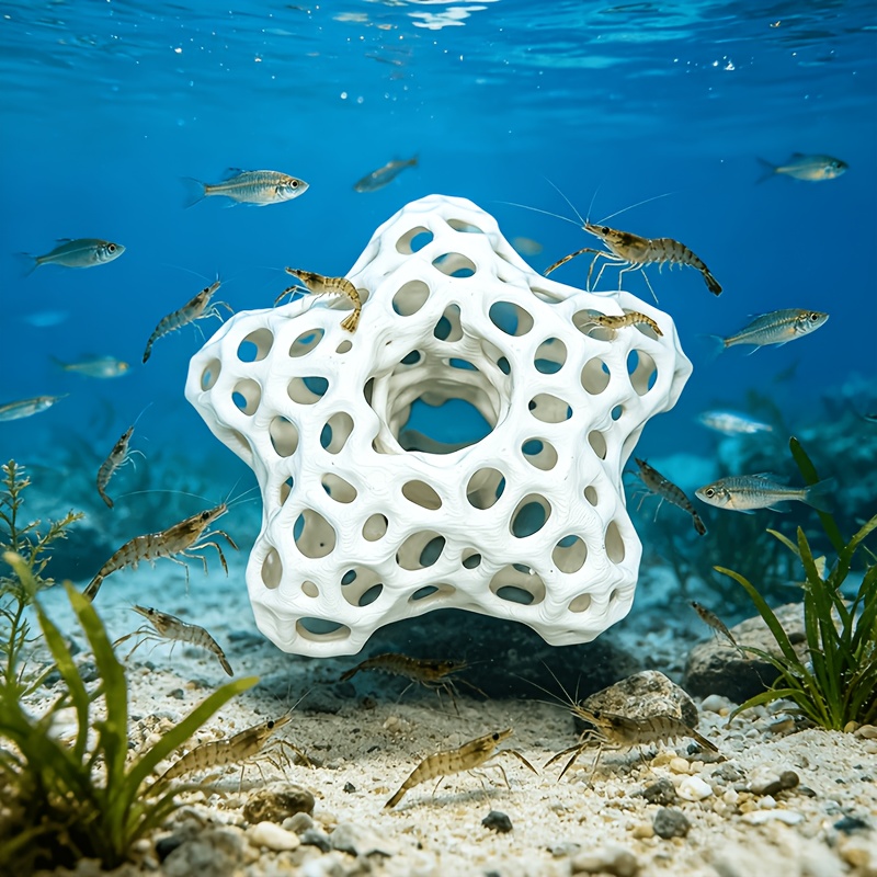 Hollowed-out Five-Pointed Star - Planted Aquarium Without Fish ulasan dan harga