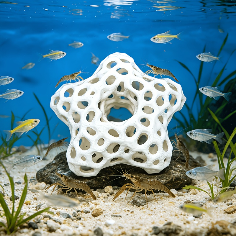 Hollowed-out Five-Pointed Star - Planted Aquarium Without Fish ulasan dan harga