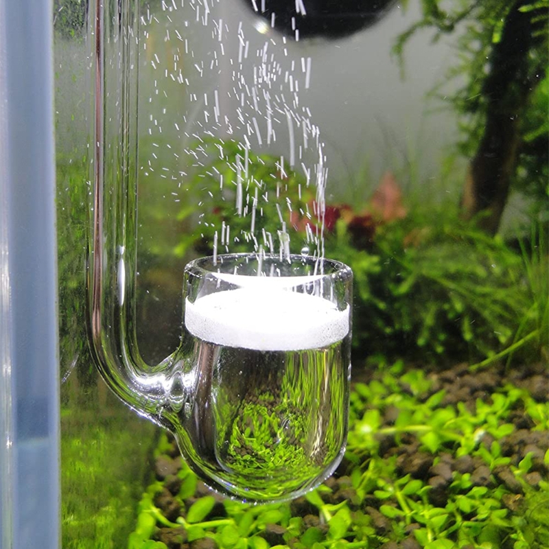 D0AD Glass CO2 Diffuser for Aq - Aquarium Plant Delivery ulasan dan harga