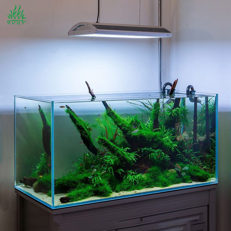 Week Aqua A430Pro LED Aquarium - Aquarium Plant Growing ulasan dan harga