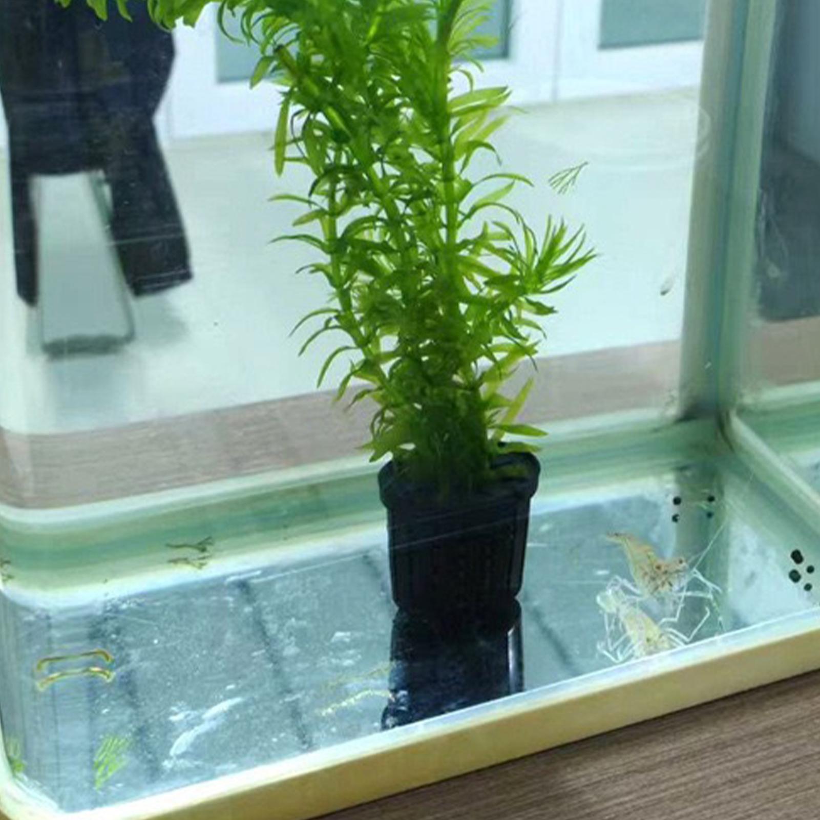 4 Pieces Hydroponic Plant Bask - Aquarium Planted Background ulasan dan harga