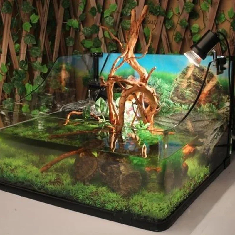 Natural Tree Trunk Driftwood A - Aquarium Plant Rings ulasan dan harga