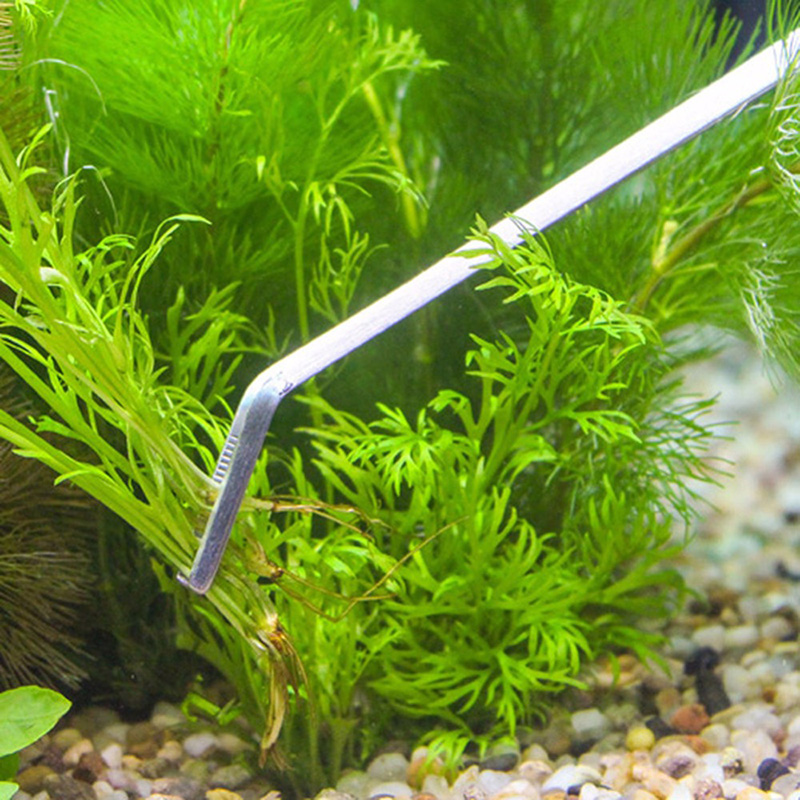 Professional Aquarium Maintena - Planted Aquarium Tool Kit ulasan dan harga
