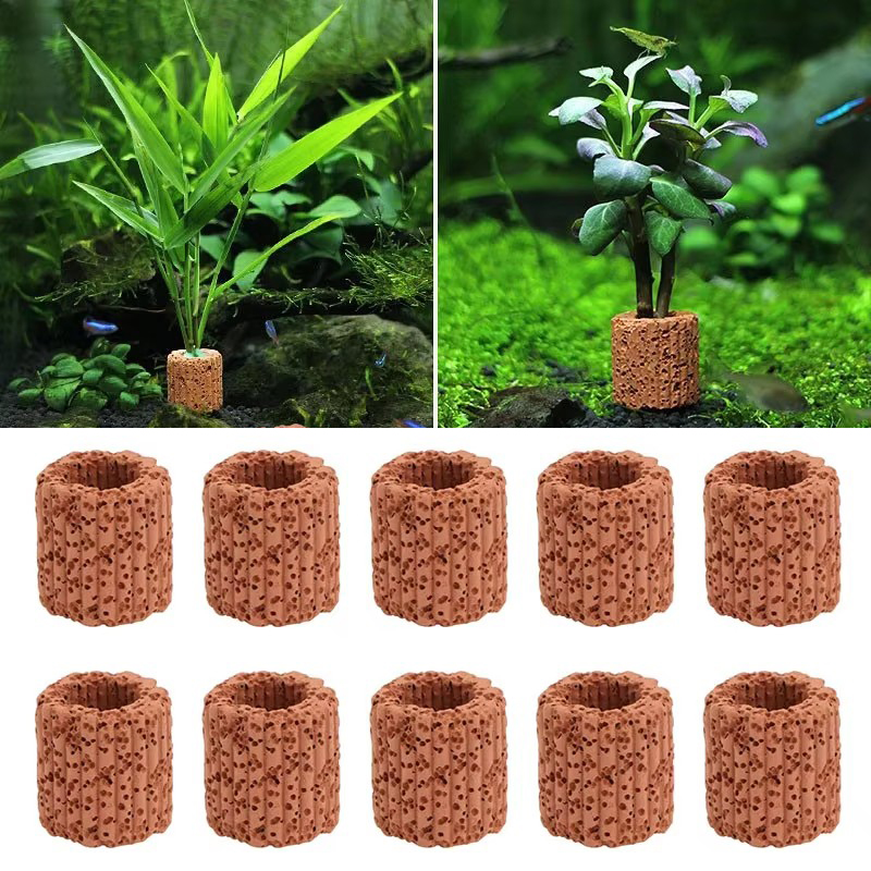 Aquatic Plant Fixed Ring for A - Aquarium Plant Rings ulasan dan harga