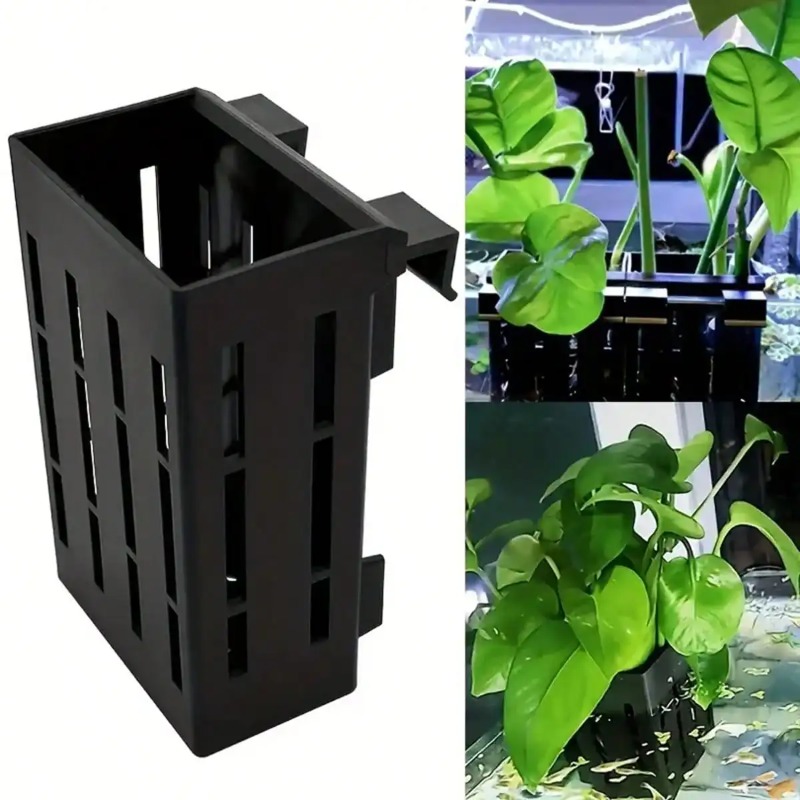 Aquarium Plant Holder Black Pl - Aquarium Plant Rings ulasan dan harga