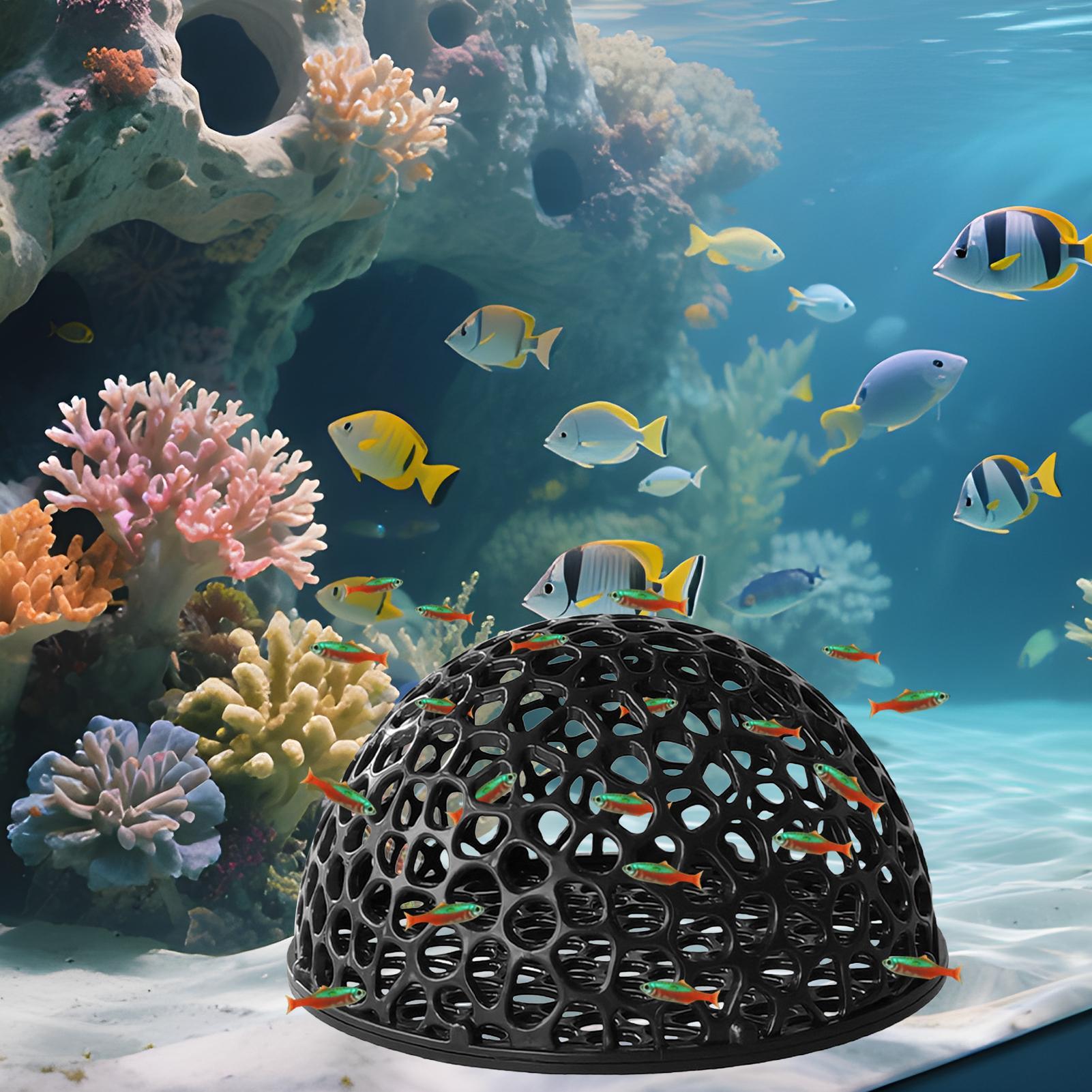 Aquarium Hiden Cave Shelter fo - Aquarium Plant Rings ulasan dan harga
