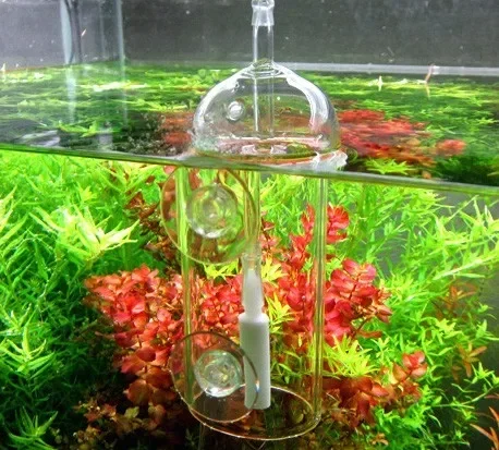 VIV Do Device Aquarium Cylinde - Aquarium Plant Delivery ulasan dan harga