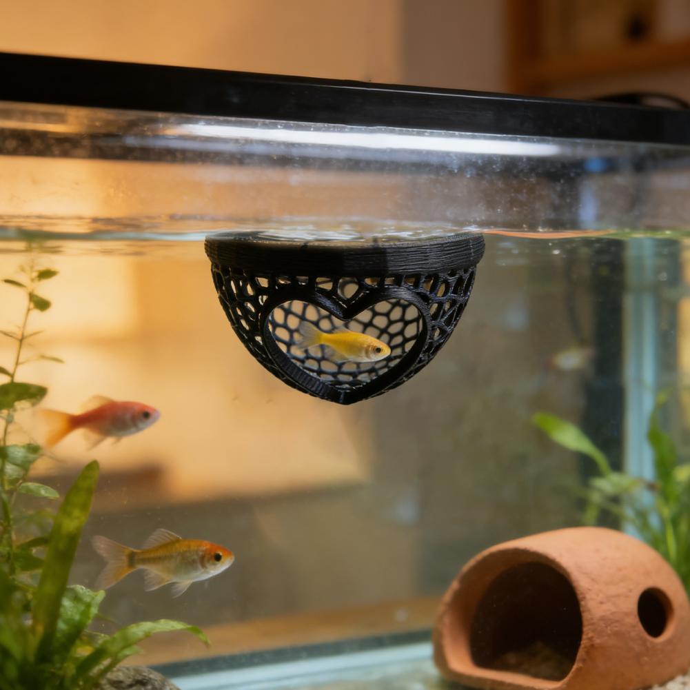 Heart-Shaped Aquarium Hideaway - Planted Aquarium Without Fish ulasan dan harga