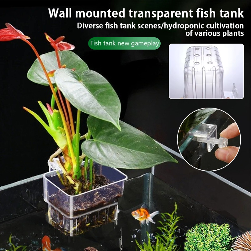 Aquarium Hanging Planter Cups  - Aquarium Plant Rings ulasan dan harga