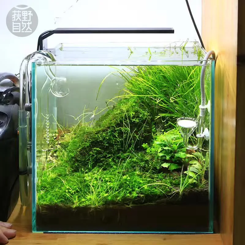 Chihiros C Series ADA Style Pl - Aquarium Plant Growing ulasan dan harga