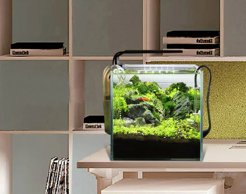 Chihiros C Series ADA Style Pl - Aquarium Plant Growing ulasan dan harga