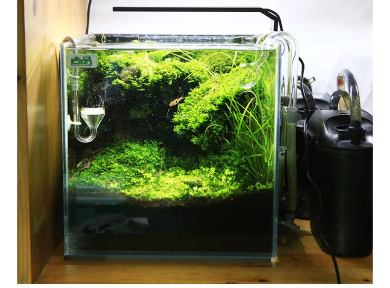 Chihiros C Series ADA Style Pl - Aquarium Plant Growing ulasan dan harga