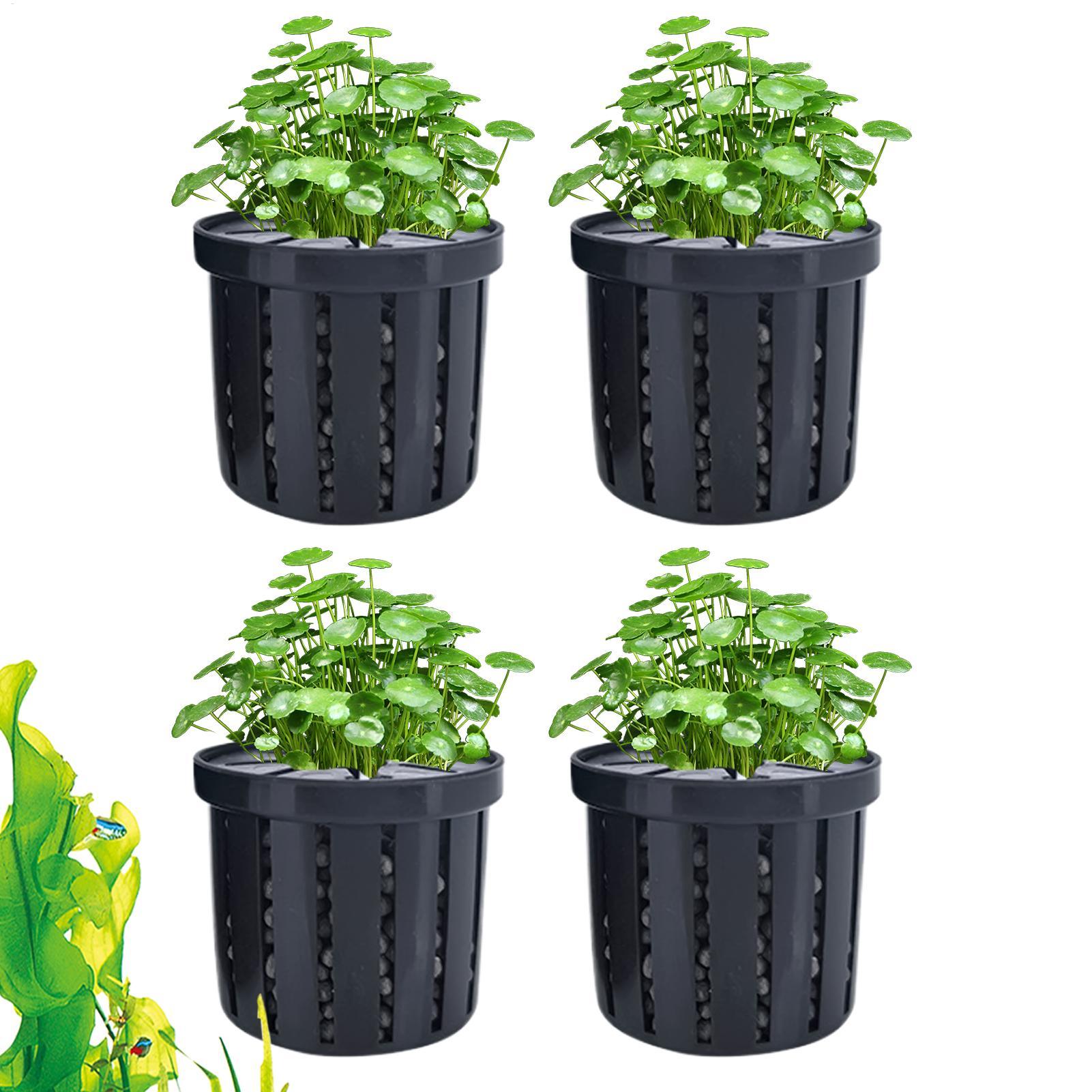 4 Pieces Aquarium Planter Pot  - Aquarium Plant Rings ulasan dan harga