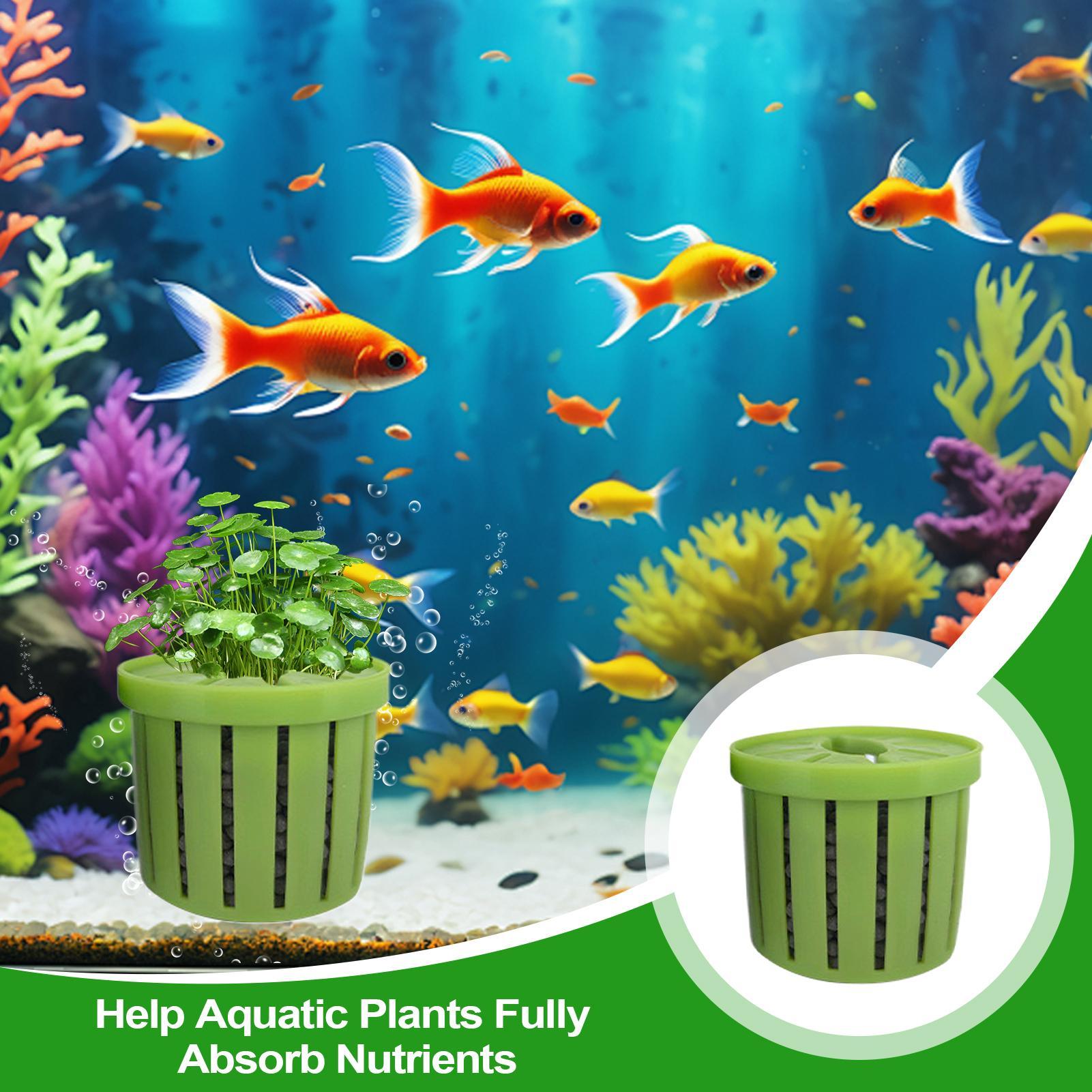 4 Pieces Aquarium Planter Pot  - Aquarium Plant Rings ulasan dan harga