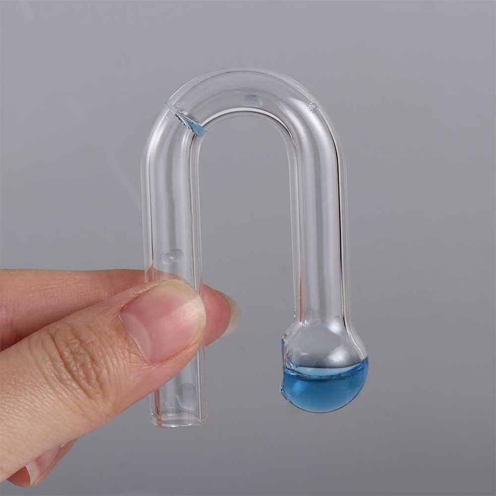 Kit Grass Fish Tank For Aquati - Aquarium Plant Delivery ulasan dan harga