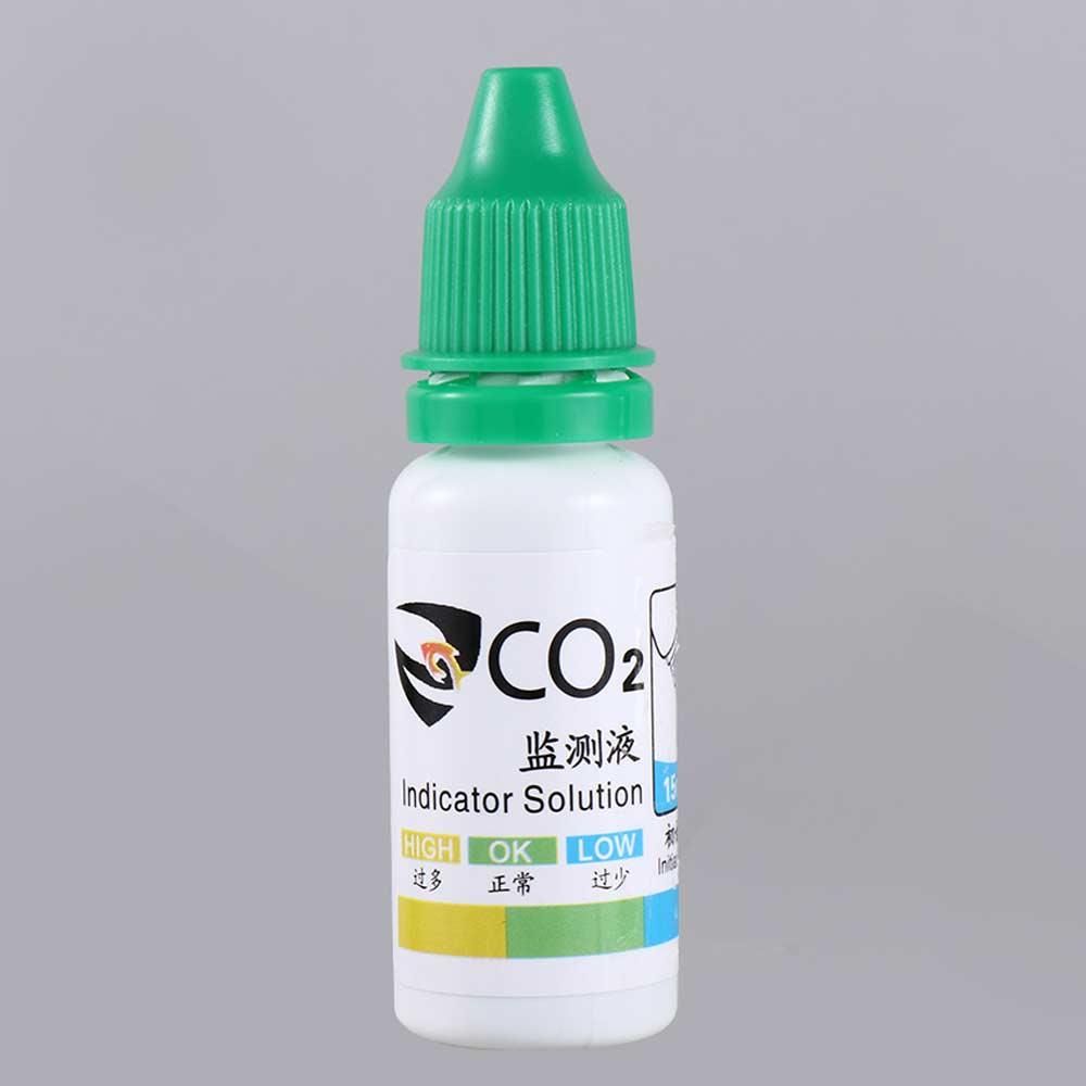 Kit Grass Fish Tank For Aquati - Aquarium Plant Delivery ulasan dan harga