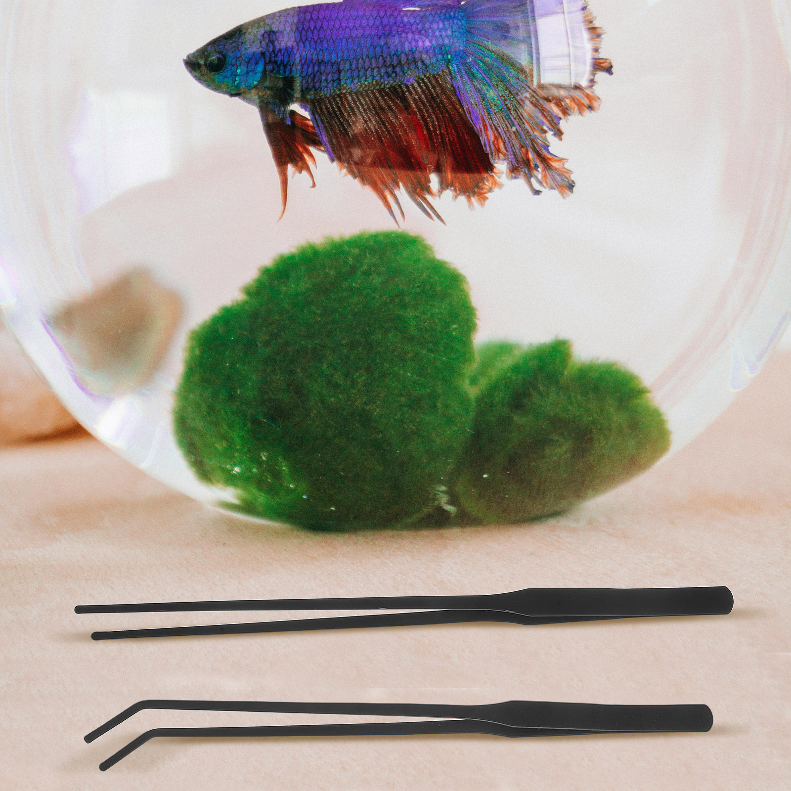 4pcs Aquarium Tweezers Stainle - Planted Aquarium Tool Kit ulasan dan harga