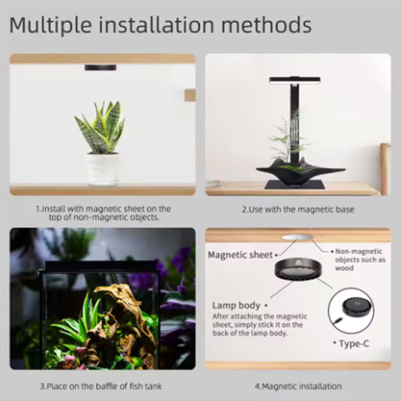 WEEK AQUA Mag Pro Mag Max Nano - Aquarium Plant Growing ulasan dan harga