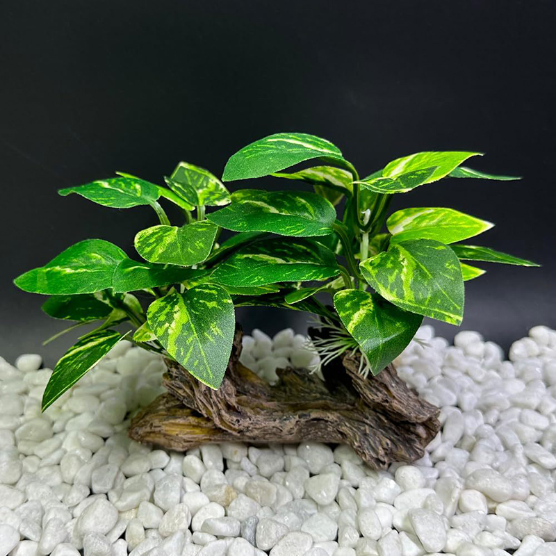 Artificial Underwater Grass Aq - Aquarium Planted Background ulasan dan harga