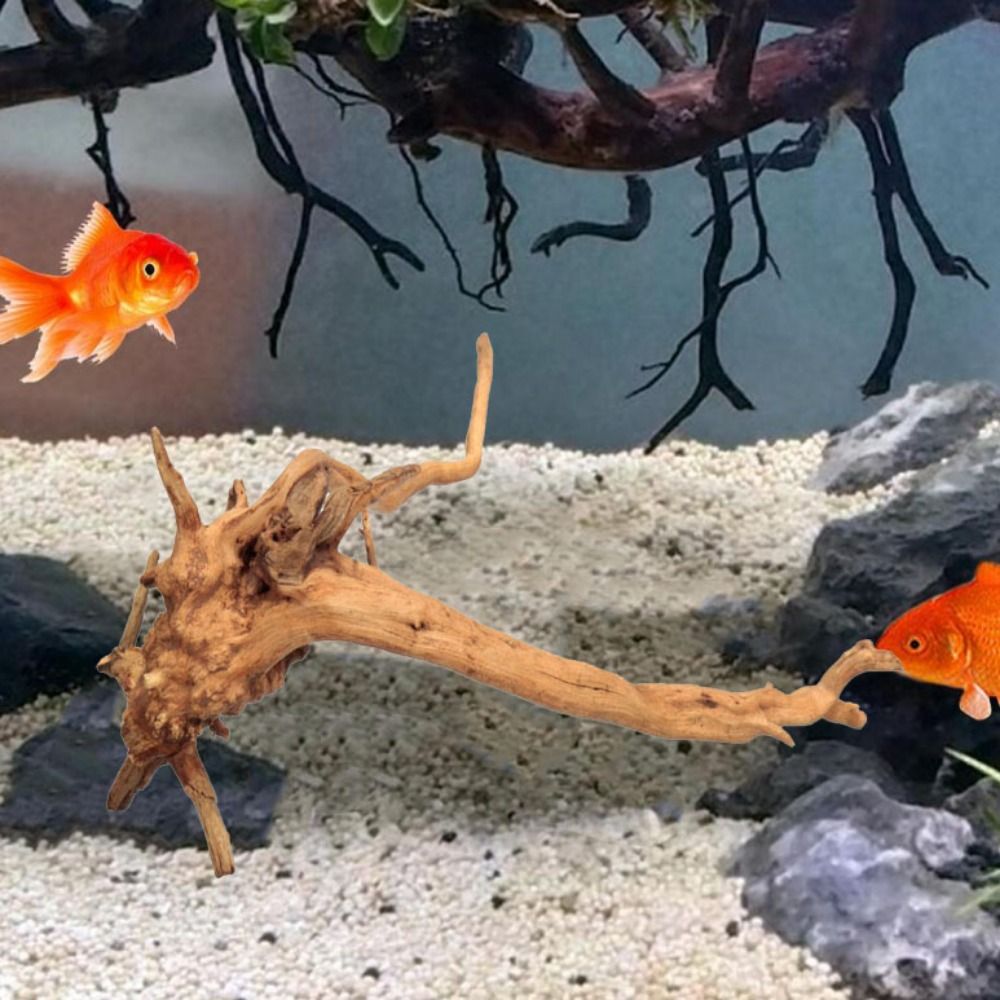 Natural Tree Trunk Aquarium De - Planted Aquarium Media ulasan dan harga