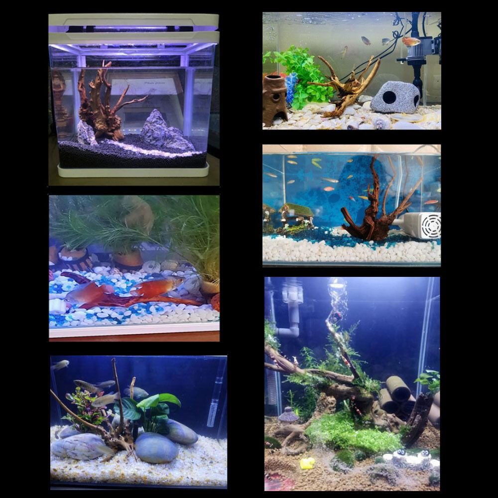 Natural Tree Trunk Aquarium De - Planted Aquarium Media ulasan dan harga