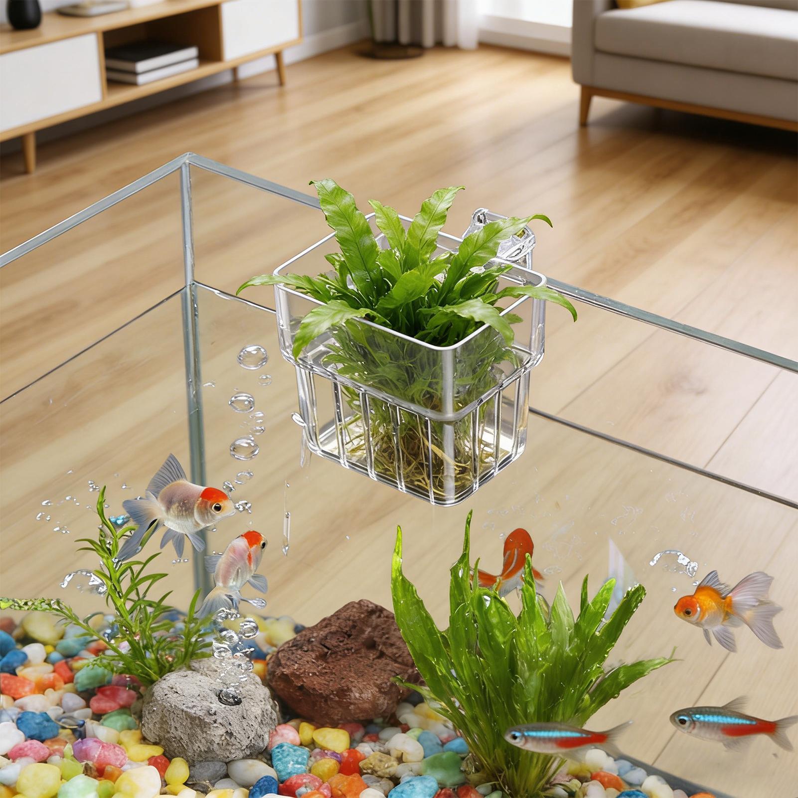 Transparent Hangable Aquarium  - Aquarium Plant Rings ulasan dan harga