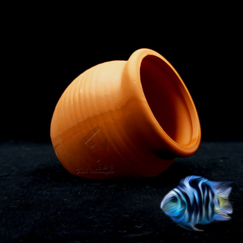 Aquarium Mini Ceramic Tank Fis - Aquarium Plant Rings ulasan dan harga