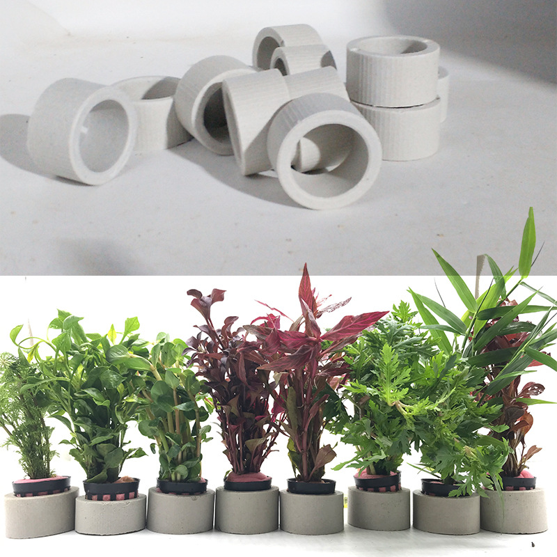 Aquarium Decoration Ceramic Ri - Aquarium Plant Rings ulasan dan harga