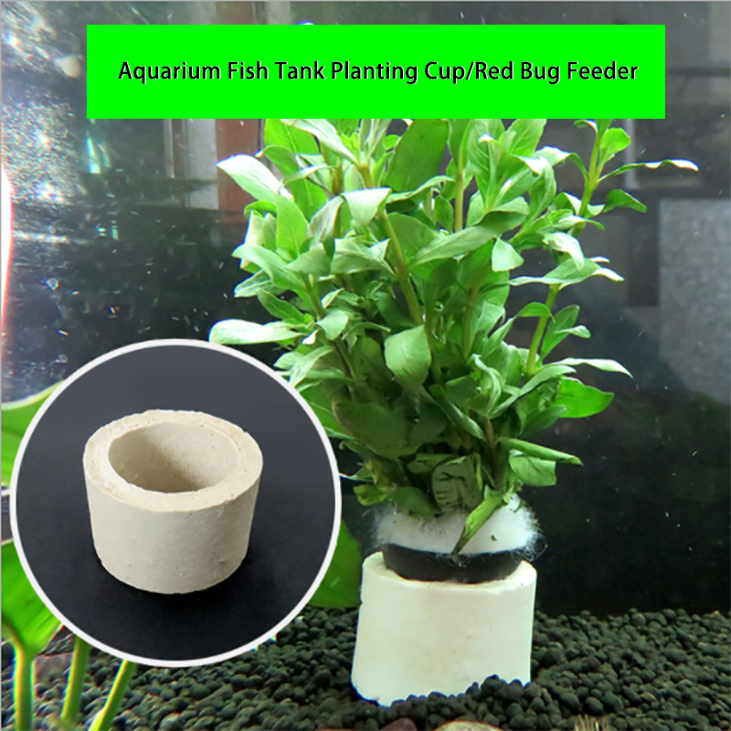 Aquarium Decoration Ceramic Ri - Aquarium Plant Rings ulasan dan harga