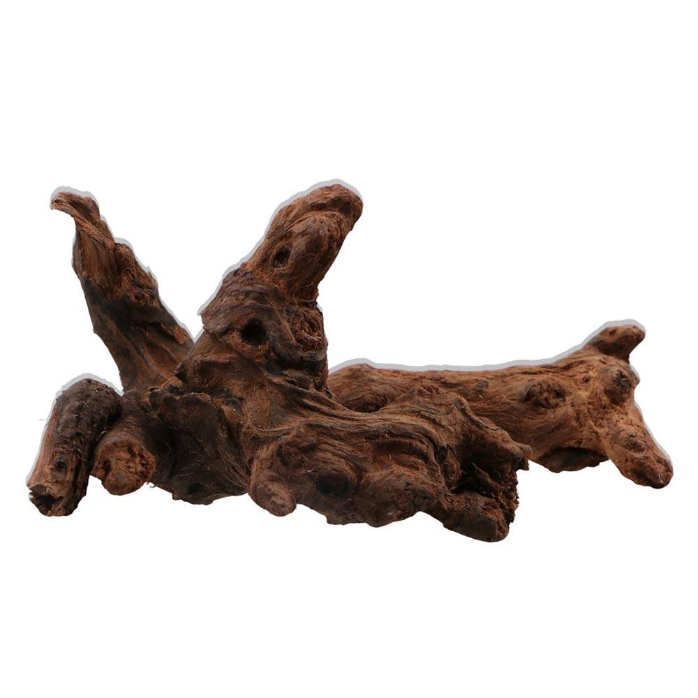 Creative Irregular Shape Coral - Planted Aquarium Media ulasan dan harga