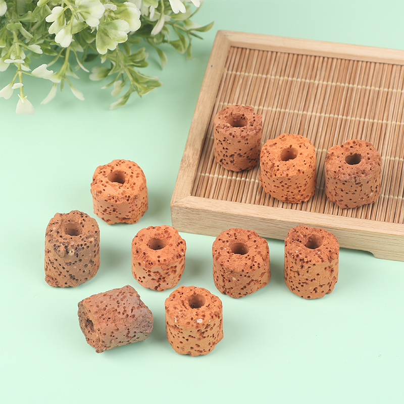 ^10Pcs Plant Ring Aquarium Fix - Aquarium Plant Rings ulasan dan harga