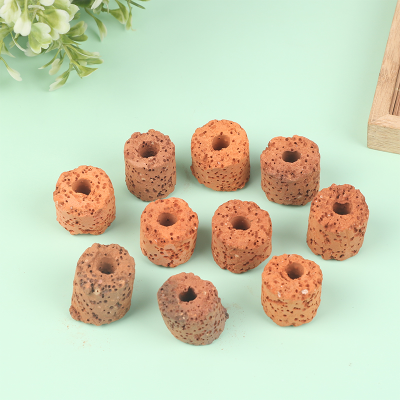 ^10Pcs Plant Ring Aquarium Fix - Aquarium Plant Rings ulasan dan harga