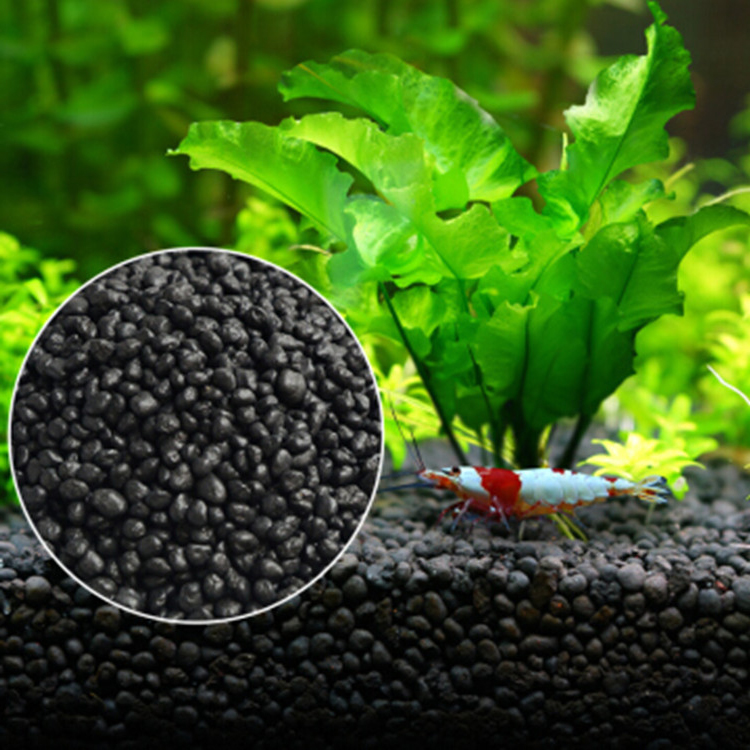 Aquarium Plant Seeds Soil Fish - Aquarium Plant Delivery ulasan dan harga