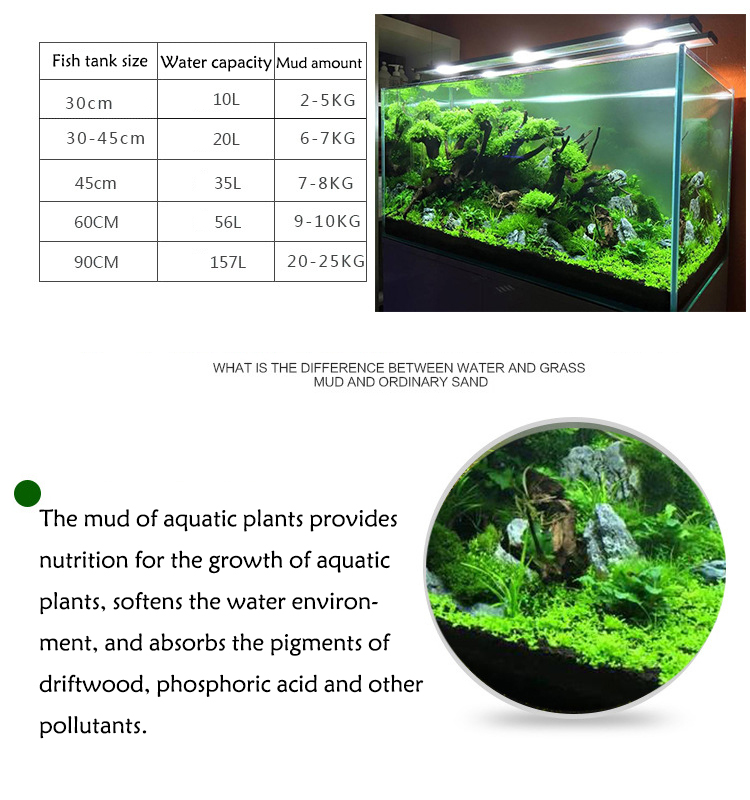 Aquarium Plant Seeds Soil Fish - Aquarium Plant Delivery ulasan dan harga