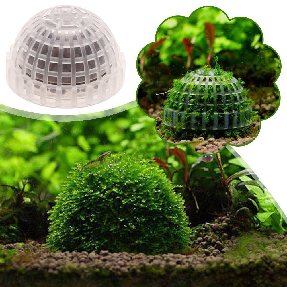 1-5PCS Aquarium Decoration Pla - Aquarium Planted Background ulasan dan harga