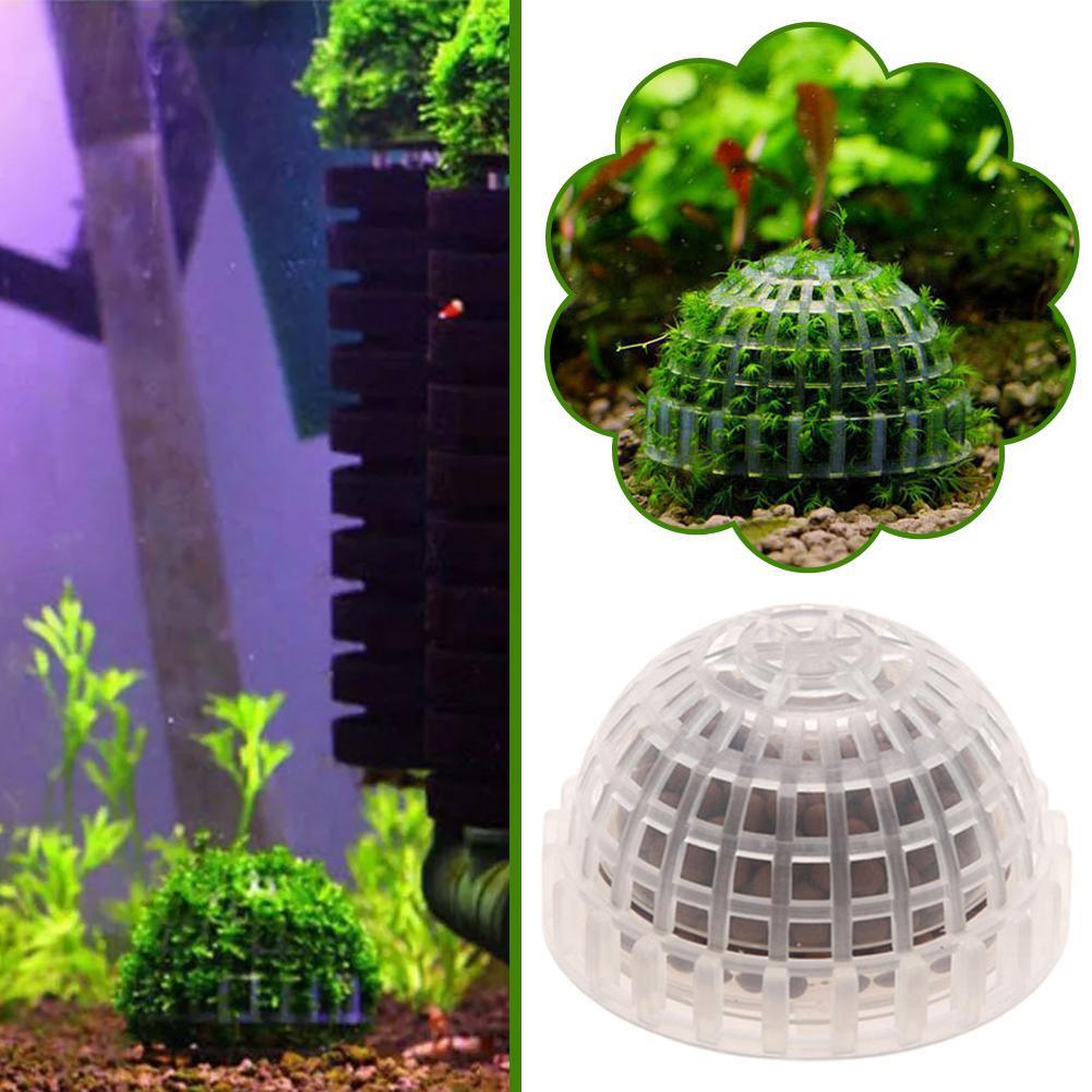1-5PCS Aquarium Decoration Pla - Aquarium Planted Background ulasan dan harga