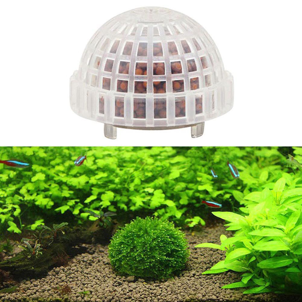 1-5PCS Aquarium Decoration Pla - Aquarium Planted Background ulasan dan harga