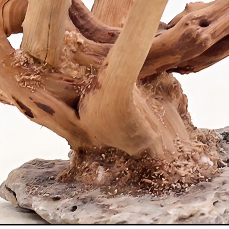 1PC Aquarium Landscaping Wood  - Planted Aquarium Media ulasan dan harga