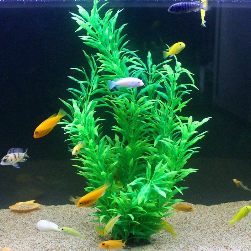 50CM Artificial Fish Tank Rare - Aquarium Plant Delivery ulasan dan harga